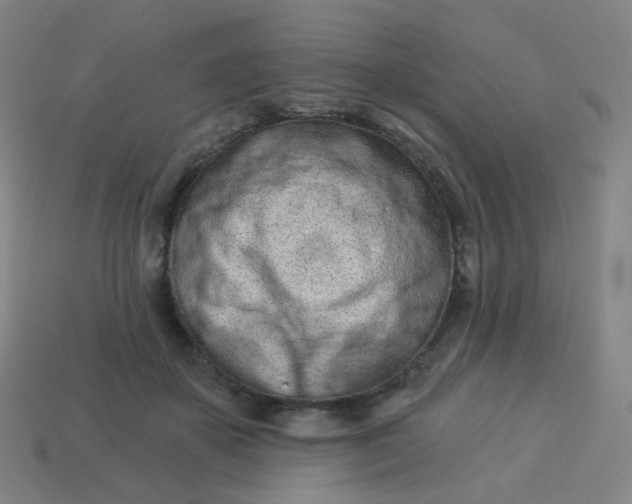 X0000114070507200910191524