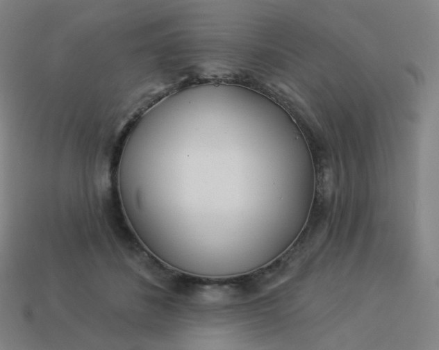 X0000114070508200910191524