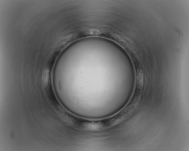 X0000114070511200910191524