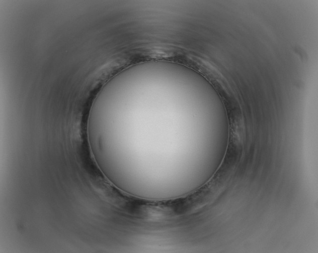 X0000114070512200910191524