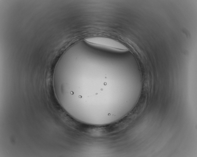 X0000114070513200910191524