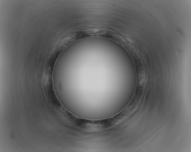 X0000114070515200910191524