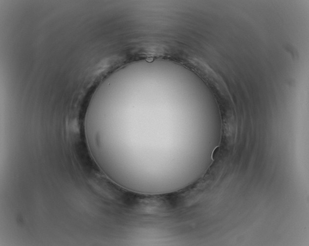 X0000114070516200910191524