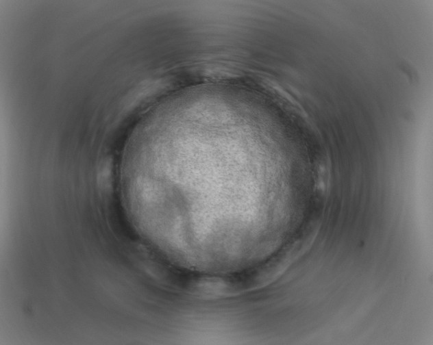 X0000114070519200910191524