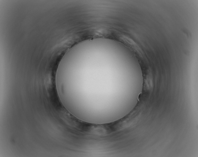 X0000114070520200910191524