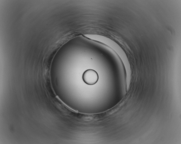 X0000114070521200910191524