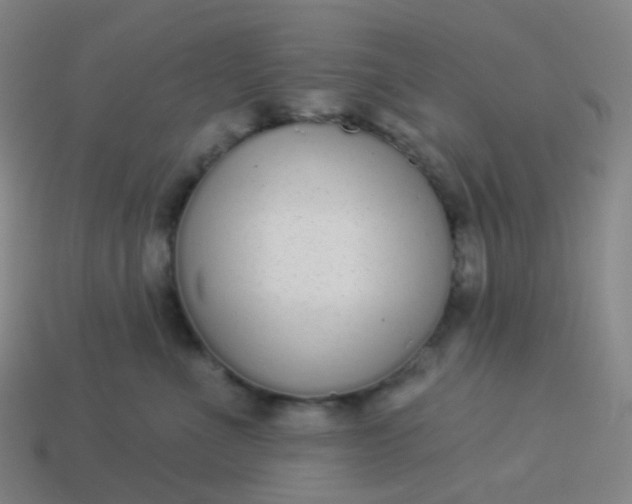 X0000114070523200910191524