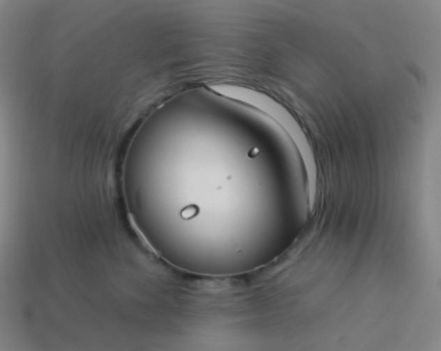 X0000114070524200910191524