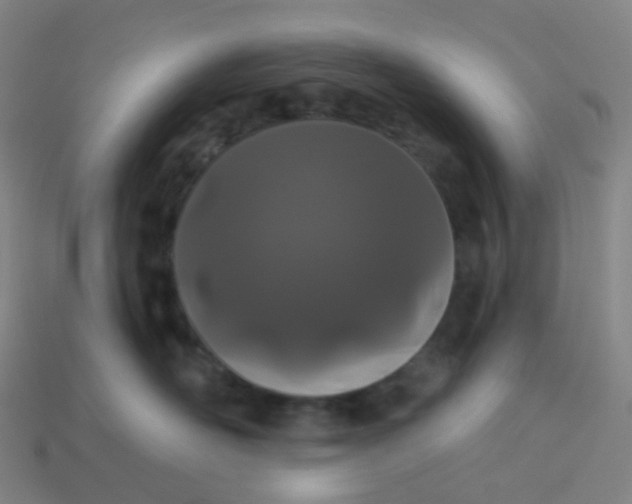 X0000114070526200910191524