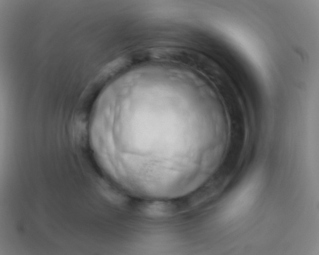 X0000114070527200910191524