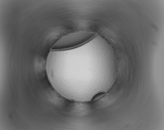 X0000114070528200910191524