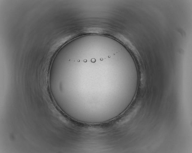 X0000114070529200910191524