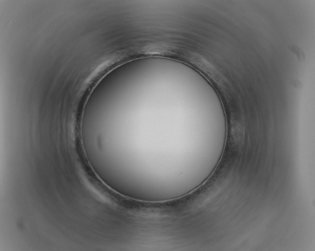 X0000114070530200910191524