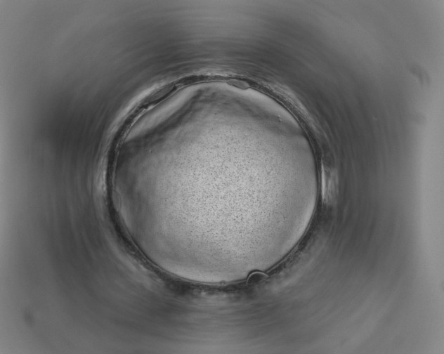 X0000114070531200910191524