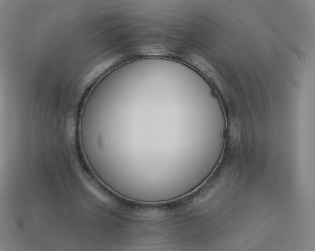 X0000114070533200910191524