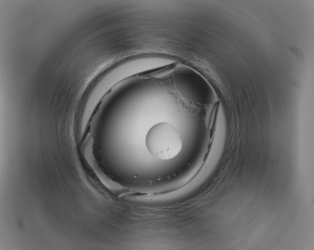 X0000114070534200910191524