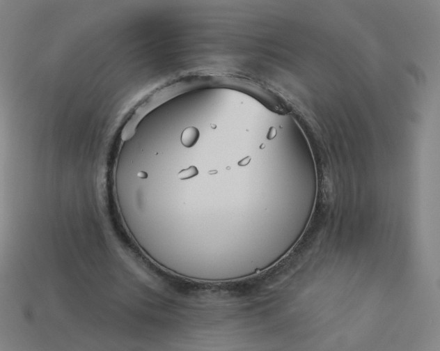 X0000114070535200910191524