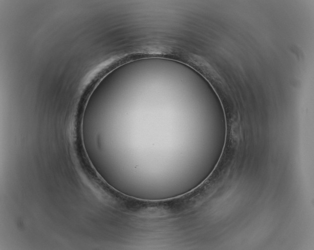 X0000114070536200910191524