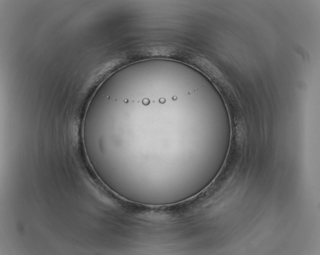 X0000114070537200910191524