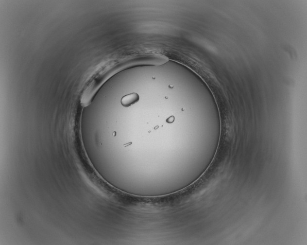 X0000114070538200910191524