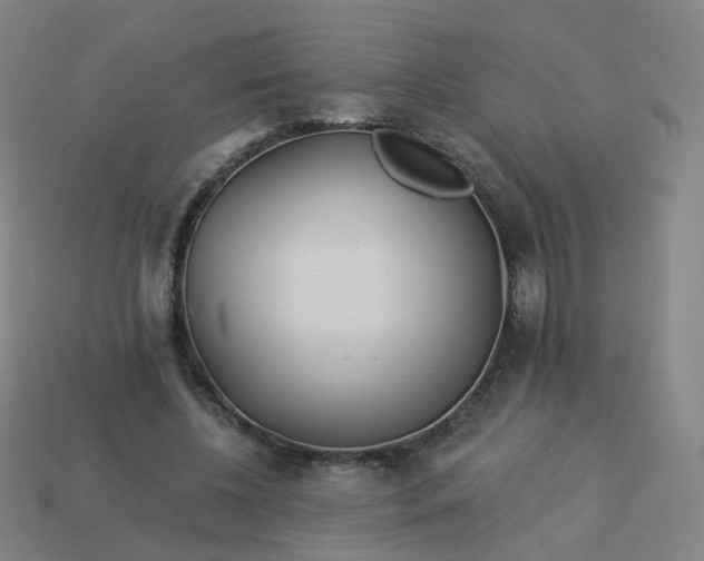 X0000114070540200910191524