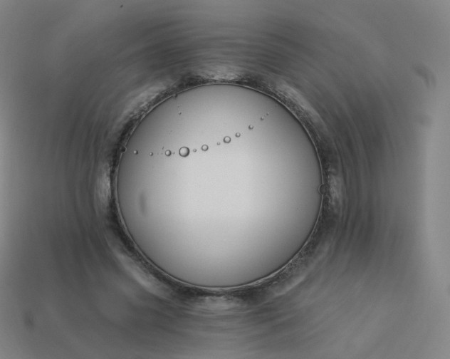 X0000114070541200910191524