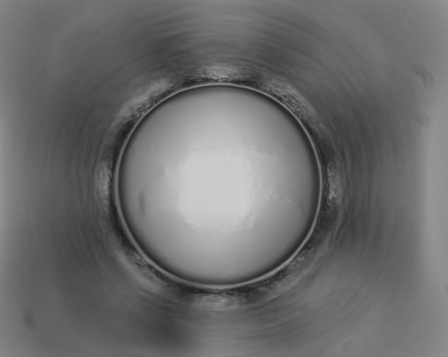 X0000114070542200910191524