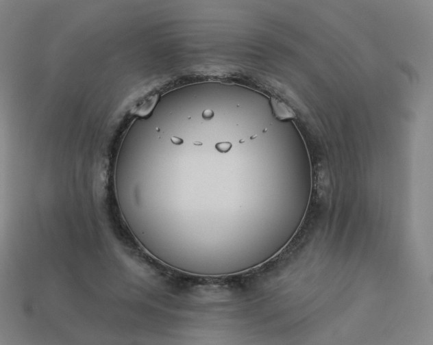 X0000114070544200910191524