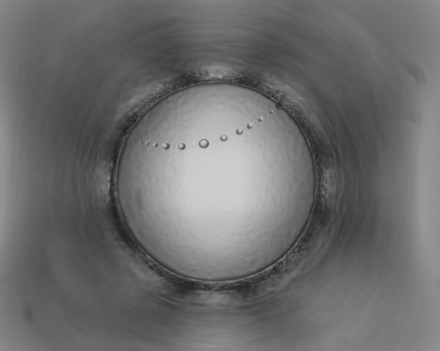 X0000114070545200910191524