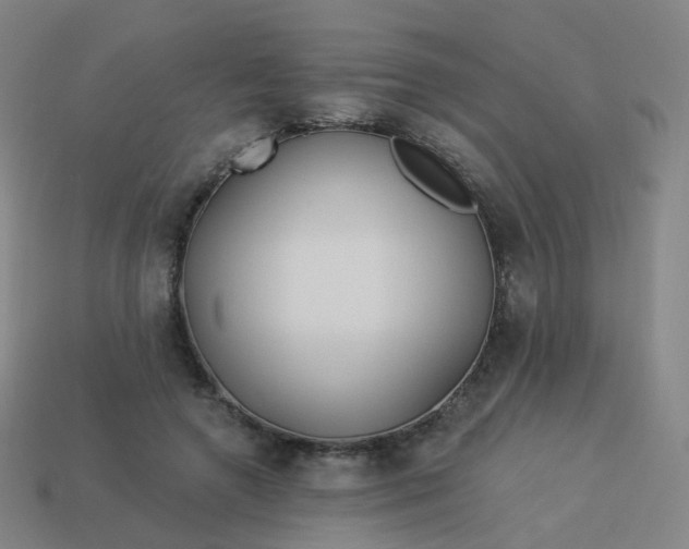 X0000114070546200910191524