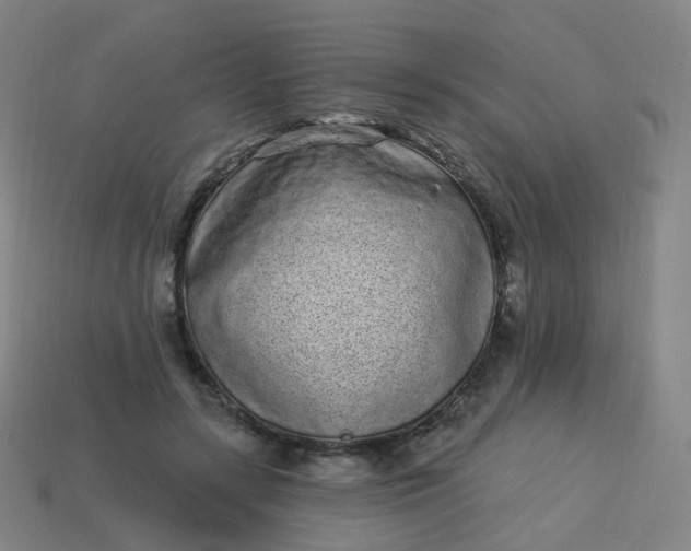 X0000114070547200910191524