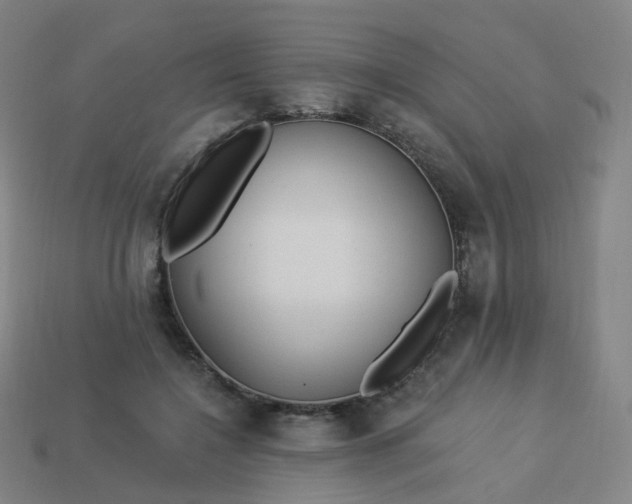 X0000114070548200910191524