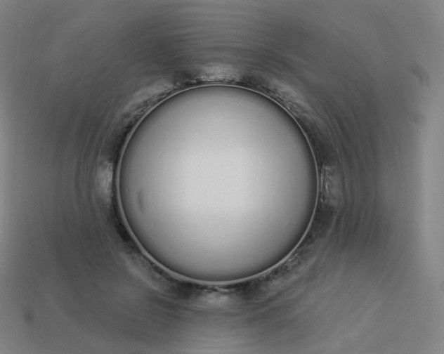 X0000114070550200910191524