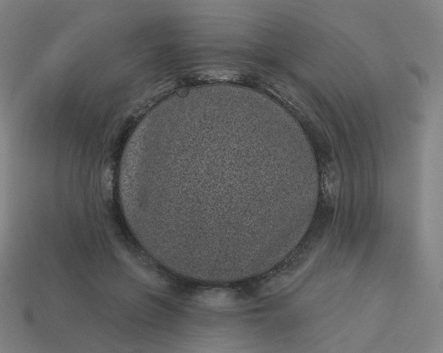 X0000114070551200910191524