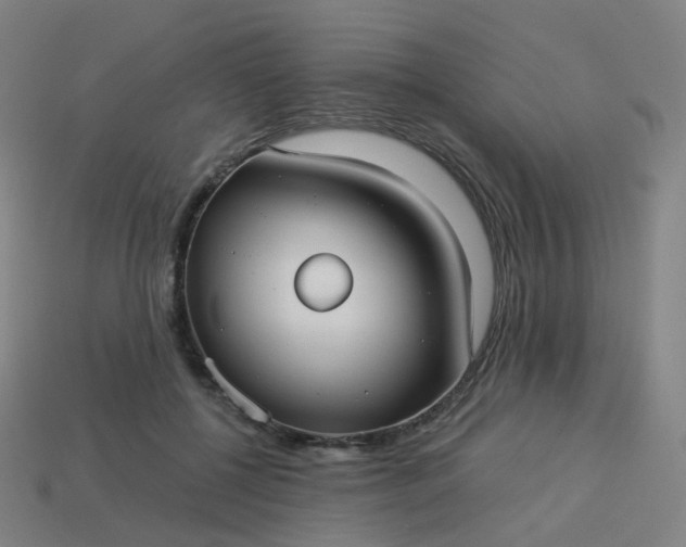 X0000114070552200910191524