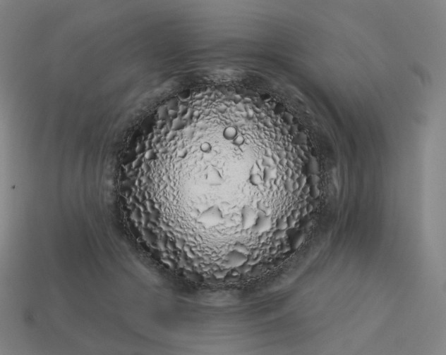 X0000114070553200910191524