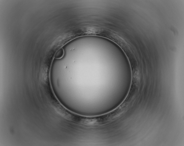 X0000114070554200910191524