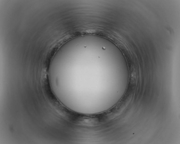 X0000114070555200910191524