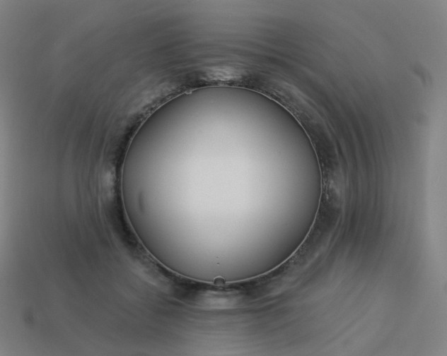 X0000114070556200910191524