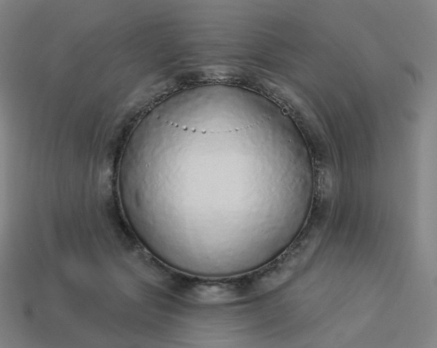 X0000114070557200910191524