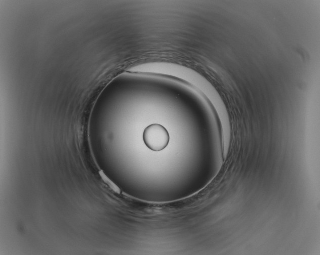 X0000114070558200910191524