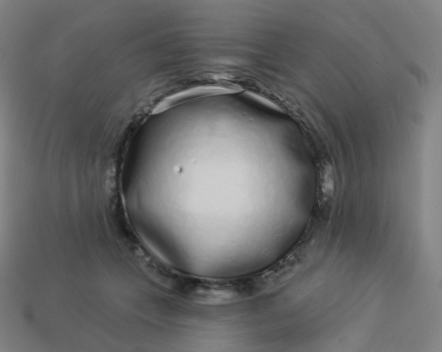 X0000114070559200910191524