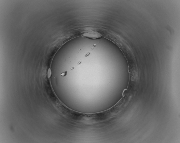 X0000114070560200910191524