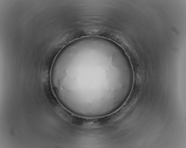 X0000114070561200910191524