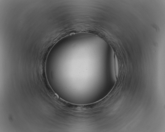 X0000114070562200910191524