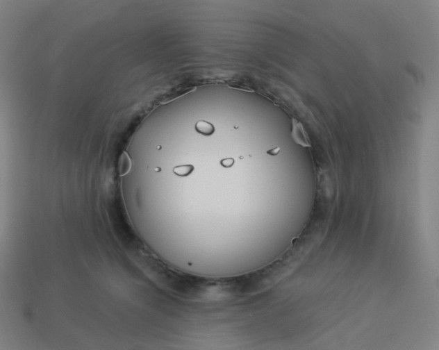 X0000114070564200910191524