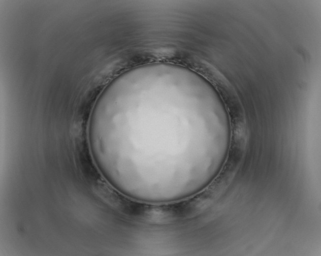 X0000114070565200910191524