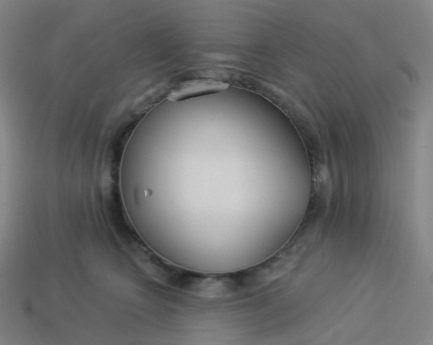 X0000114070566200910191524