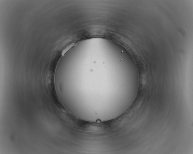 X0000114070567200910191524