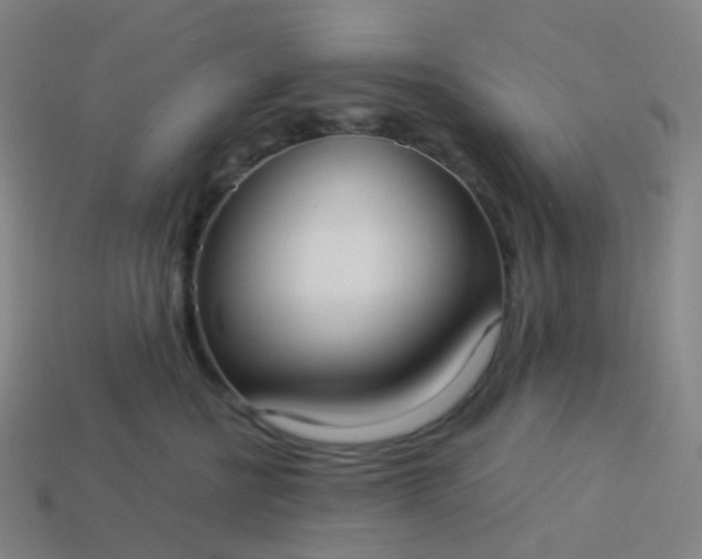 X0000114070570200910191524